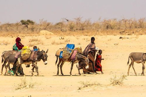 UNICEF: Hạn hán ở châu Phi đang đẩy trẻ em đến bờ vực của thảm họa