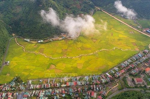 Quyến rũ 'dải lụa vàng' ở thung lũng Mường Khương