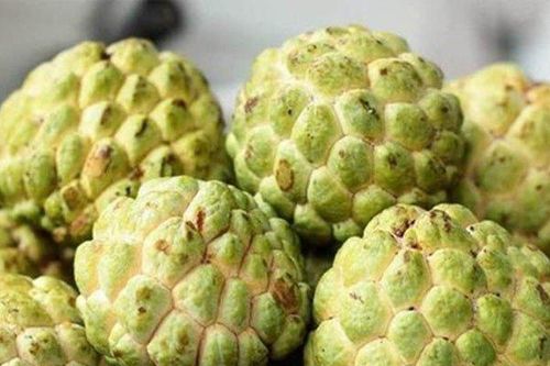 Bộ phận cực nguy hiểm của quả na, có thể gây ngộ độc, mù mắt