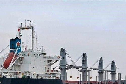 Một DN vận tải biển bị kiểm toán nghi ngờ khả năng hoạt động liên tục