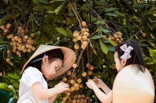 Níu lại khoảng trời thơ