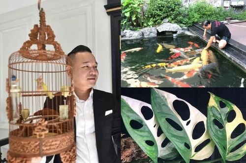 'Ngã ngửa' thú chơi tiền tỷ cực lạ của đại gia Việt
