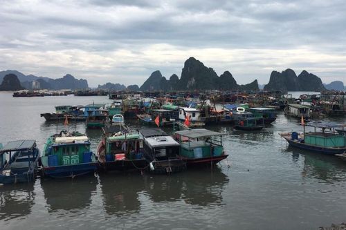 Quảng Ninh cấm biển do ảnh hưởng của Bão Ma-on