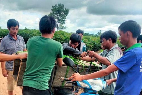 Thông tin bé 3 tuổi tử vong không có đất chôn là sai sự thật