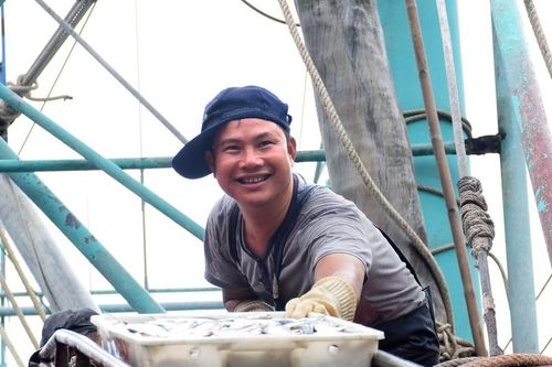 Về tránh bão số 3, nhiều tàu cá Nghệ An đạt sản lượng cao