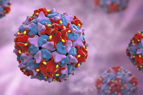 Pakistan phát hiện virus bại liệt hoang dã trong môi trường