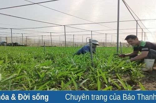 Tuổi trẻ Đông Sơn lập thân, lập nghiệp