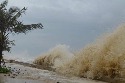 Đề phòng bão Ma-on đổ bộ, Quảng Ninh sẵn sàng nhiều phương án ứng phó