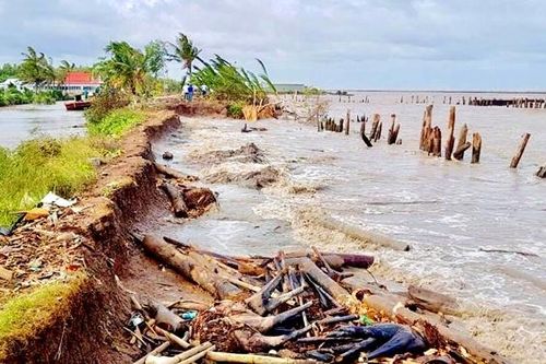 Cà Mau: Kiến nghị Trung ương thí điểm xã hội hóa xây dựng kè biển