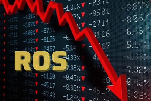 ROS: Từ ngôi sao sàn chứng khoán đến kết cục hủy niêm yết