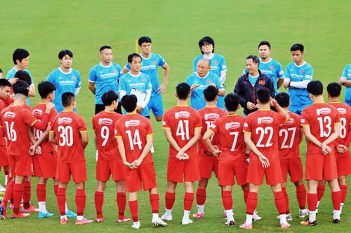 Tuyển Việt Nam chờ FIFA xác nhận trường hợp của Ấn Độ