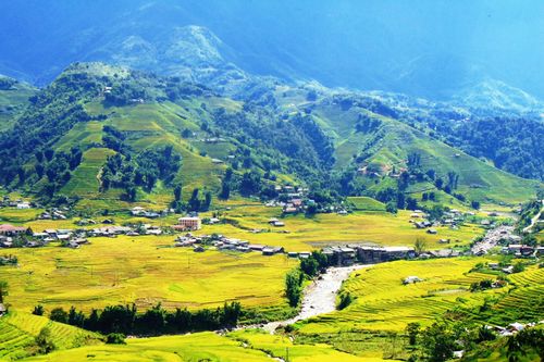 Thu sang đắm say thung lũng Mường Hoa