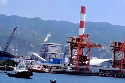 Cá voi khổng lồ xuất hiện ở biển Bình Thuận