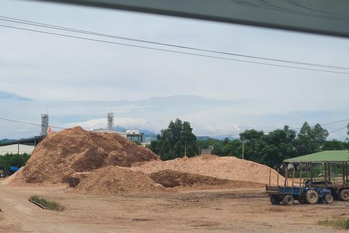 Xử phạt nhiều doanh nghiệp chế biến lâm sản hoạt động sai phép
