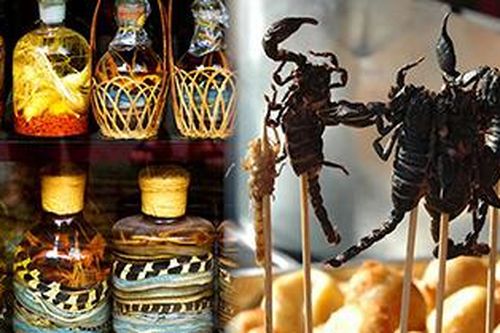 Uống rượu rắn, ăn bọ cạp: Trải nghiệm không thể bỏ qua khi tới Việt Nam