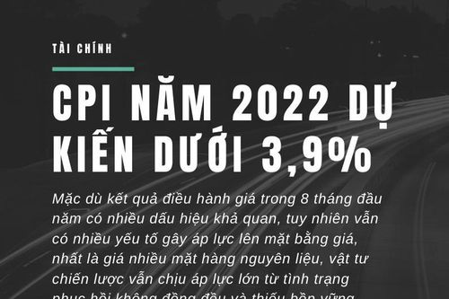 CPI năm 2022 của Việt Nam dự kiến dưới 3,9%
