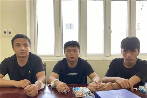 Lào Cai: Triệt phá đường dây đưa người nhập cảnh trái phép vào Việt Nam