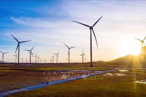 LHQ đánh giá cao Việt Nam trong triển khai các cam kết hành động vì khí hậu