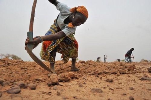 Niger tạo mưa để cải thiện tình hình hạn hán