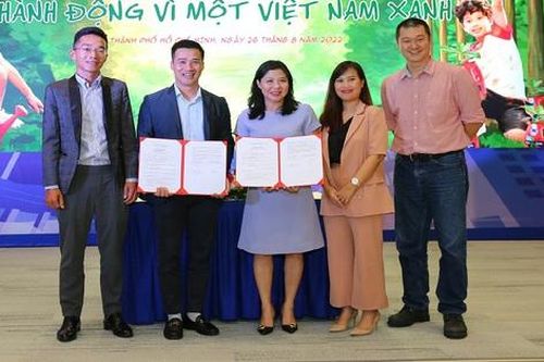 Thêm 1 triệu cây xanh sẽ được trồng ở rừng phòng hộ, trường học