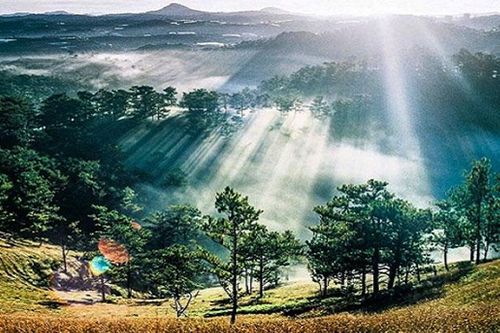 Ngõ nhỏ mờ sương