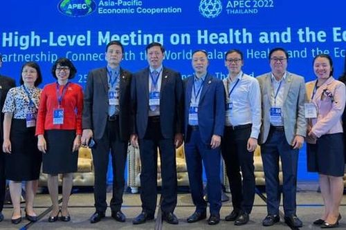 Thứ trưởng Đỗ Xuân Tuyên dự cuộc họp cấp cao APEC lần thứ 12 về y tế và kinh tế