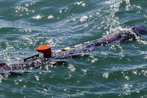 Anh tặng loạt drone săn thủy lôi cho Ukraine