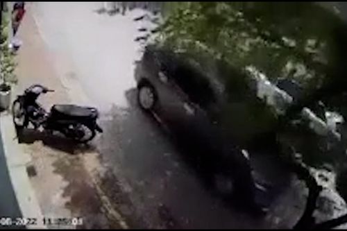 Ô tô đang đi bất ngờ bị cành cây đổ ập xuống