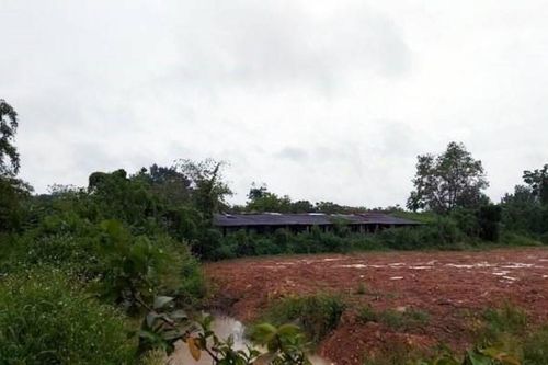 Phát hiện thi thể nam thanh niên trong lò mổ heo