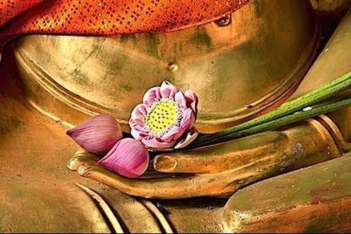 Cuộc chạy trốn của bông hoa hay cánh cửa của đau khổ?