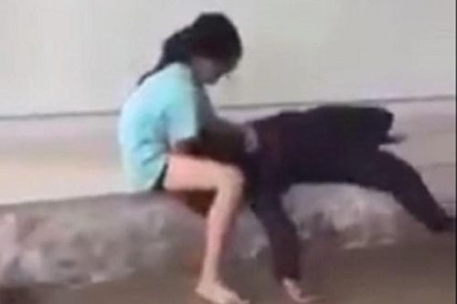 Xác minh nhóm người đánh nữ chủ nhà ở Đắk Lắk ngất xỉu