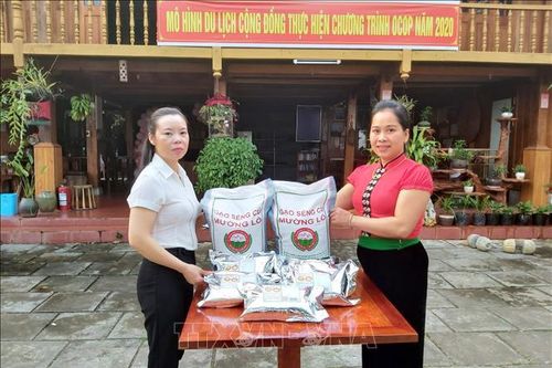 Phát triển thương hiệu gạo Séng Cù Mường Lò