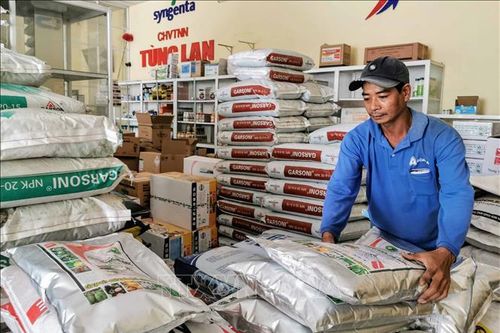 Nhu cầu và giá bán hỗ trợ doanh nghiệp phân bón