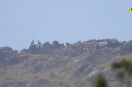 Dân quân người Kurd tuyên bố vô hiệu hóa 10 binh sĩ Thổ Nhĩ Kỳ trong 2 cuộc tấn công ở Iraq