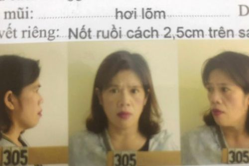 Lừa đảo chiếm đoạt tài sản của gia đình chồng