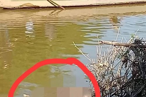 Quảng Trị: Phát hiện thi thể một người phụ nữ trên sông Nhùng