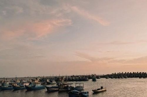 Bình Thuận: Không mua được dầu, nhiều ghe thuyền phải nằm bờ
