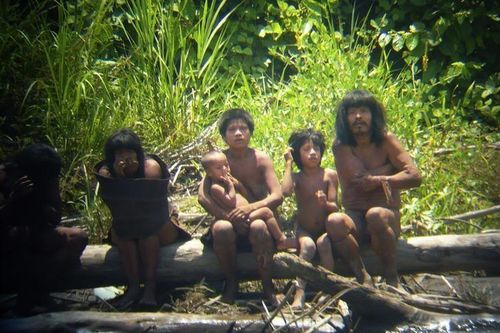 Người đốn gỗ trúng mũi tên thiệt mạng ở Peru
