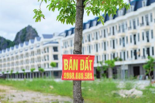 Bộ trưởng TN&MT: Người sử dụng đất vượt hạn mức sẽ bị tính thuế cao