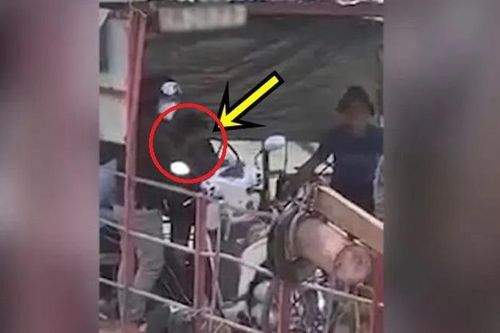 Xác minh clip bé trai 12 tuổi lái đò chở khách trên sông ở Đồng Nai