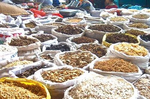 Hà Nội yêu cầu thu hồi triệt để 2 vị thuốc Đông y không đạt chất lượng