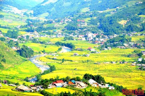 Lên Sa Pa ngắm mùa vàng ruộng bậc thang