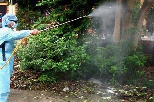 TPHCM: Số ca mắc sốt xuất huyết có chiều hướng giảm