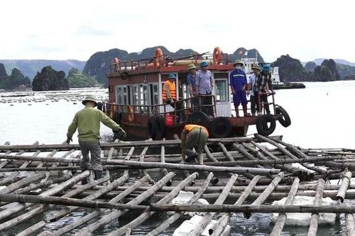 Quảng Ninh: Tạm đình chỉ công tác bốn cán bộ buông lỏng quản lý