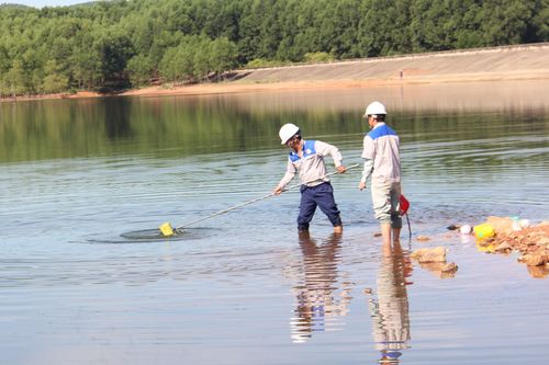 Hà Tĩnh: Cá chết hàng loạt tại hồ cấp nước sạch cho hơn 47.000 hộ dân