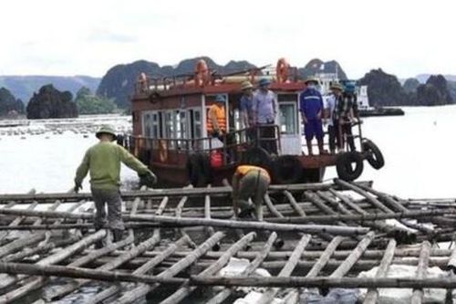 Đình chỉ loạt cán bộ buông lỏng quản lý vịnh Bái Tử Long