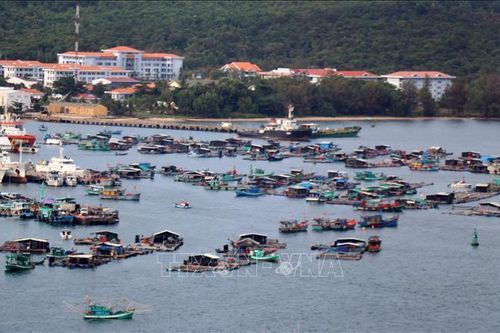 Giá trị sản xuất thủy sản Kiên Giang tăng gần 8%