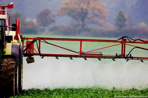 Thuốc diệt cỏ từ Đức và nỗi ám ảnh bệnh tật ở Argentina