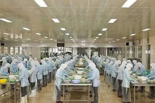 Thủy sản Bến Tre (ABT): Lãi ròng 6 tháng vượt 310 tỷ đồng, gần bằng mức thực hiện cả năm 2021