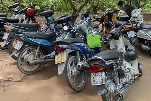 17 con bạc tụ tập ở quán cà phê đá gà online